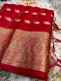 Organza Stone Work Saree  - Free Size