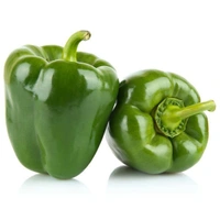  capsicum ( క్యాప్చికం ) - 500g