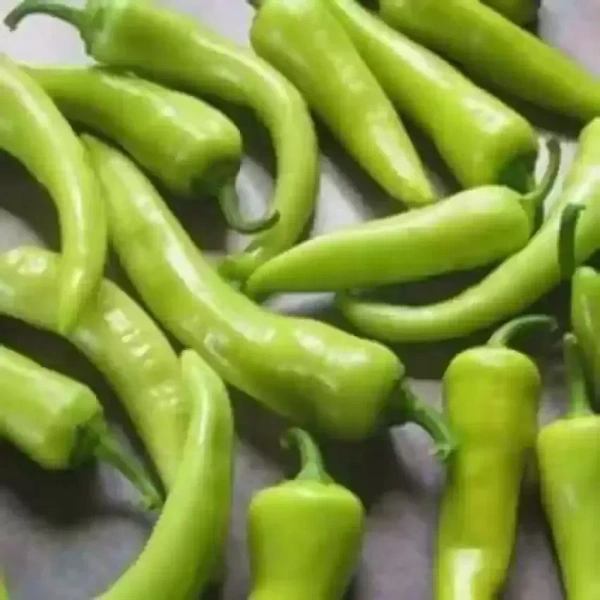 Bajji Chilli  ( బజ్జీ మిర్చి ) - 500 g