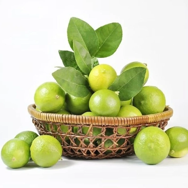 Lemons  3 pieces ( నిమ్మకాయ )
