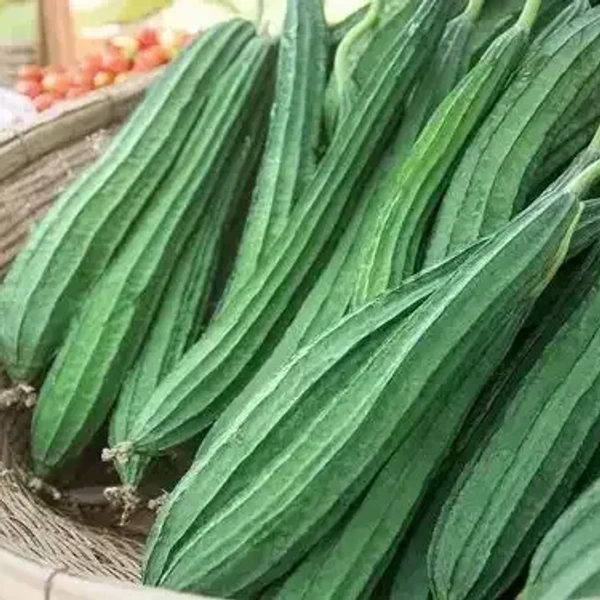 ridge gourd  ( బీర కాయ ) - 1 kg