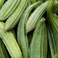 ridge gourd  ( బీర కాయ ) - 1 kg