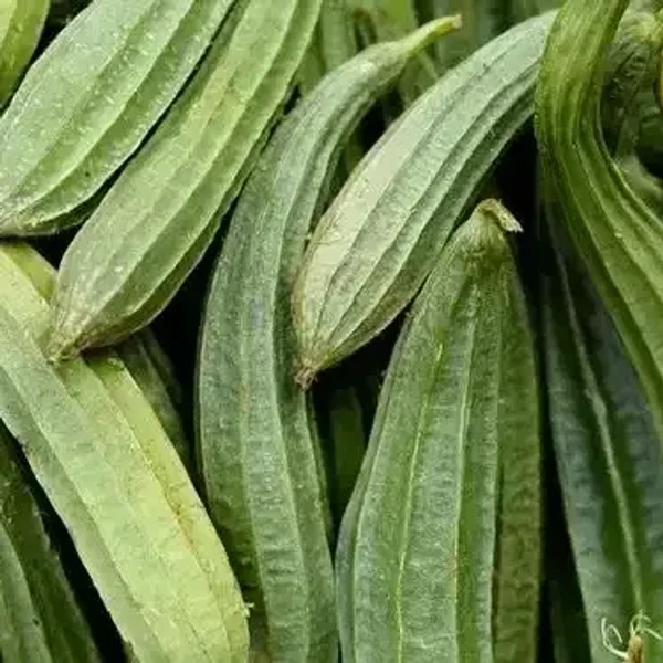 ridge gourd  ( బీర కాయ ) - 1 kg