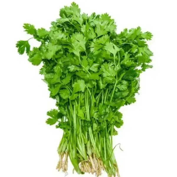 Coriander  ( కొత్తిమీర ) - 100 g