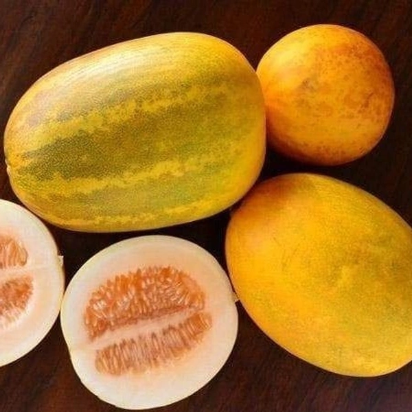 Yellow Cucumber ( దోసకాయ ) 1kg