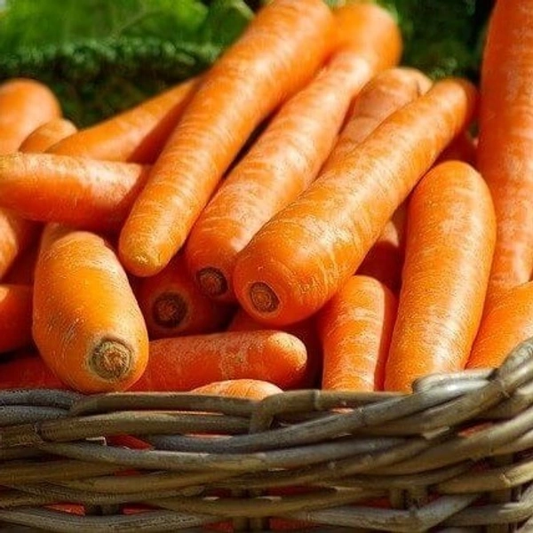 Carrot   - 1 kg