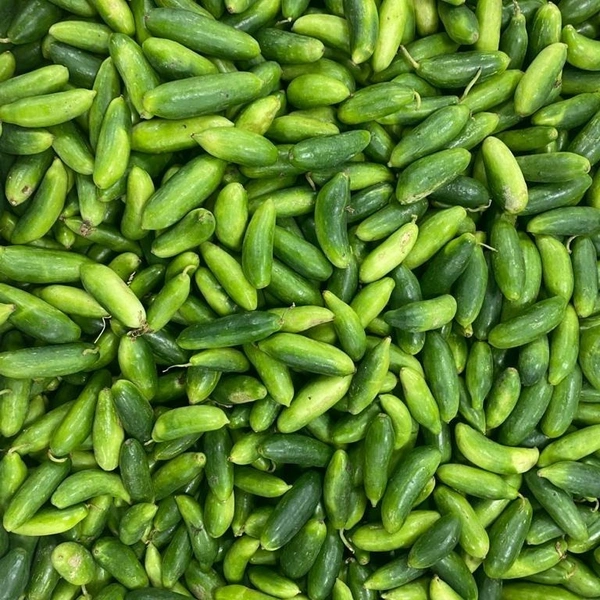 Dondakaya  ( దొండకాయ )  - 500 G
