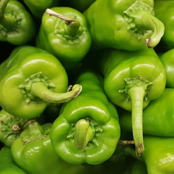 Bajji Chilli  ( బజ్జీ మిర్చి ) - 500 g