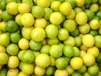 Lemons  3 pieces ( నిమ్మకాయ )