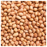 Raw Peanuts   ( పల్లీలు  ) - 1 Kg