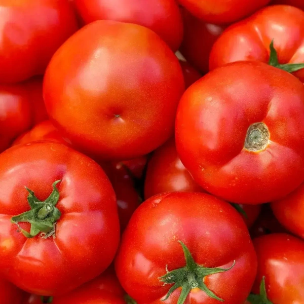 Tomata  ( టమాటా ) - 500 G