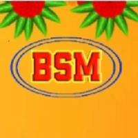 B.S.M - Logo