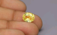 Pukhraj 6.50 CRT - Yellow, 6.50 CRT