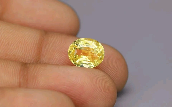 Pukhraj 6.50 CRT - Yellow, 6.50 CRT
