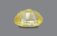 Pukhraj 6.50 CRT - Yellow, 6.50 CRT