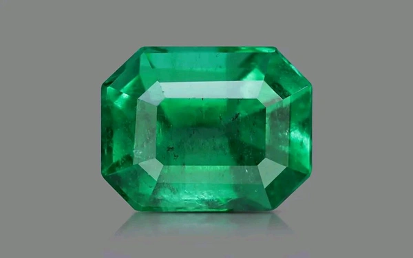Panna 14.25 Crt - Japanese Laurel, 14.25
