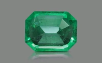 Panna 14.25 Crt - Japanese Laurel, 14.25
