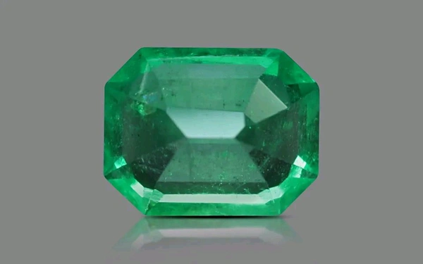 Panna 14.25 Crt - Japanese Laurel, 14.25