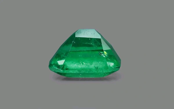 Panna 14.25 Crt - Japanese Laurel, 14.25