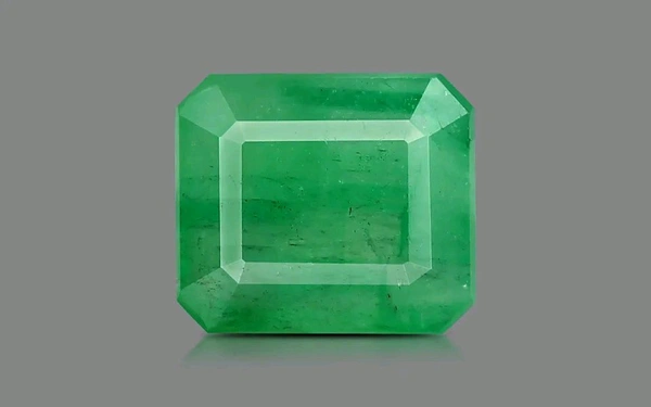 Panna 4.75 CRT  - Japanese Laurel, 4.75