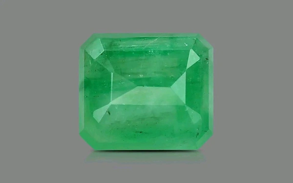 Panna 4.75 CRT  - Japanese Laurel, 4.75
