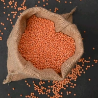 Masoor Dal (ఎర్ర కందిపప్పు)  - 1 Kg