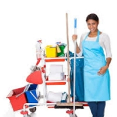 Cleaners