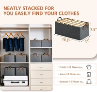 Cloth Organizer(With Steel Frame) random Colors