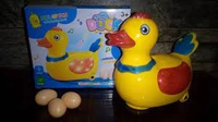 DDB142 LAYING EGG GOOSE DUCK