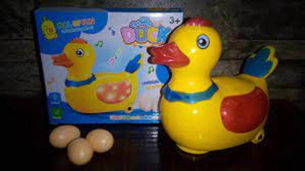 DDB142 LAYING EGG GOOSE DUCK