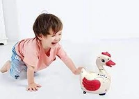 DDB142 LAYING EGG GOOSE DUCK