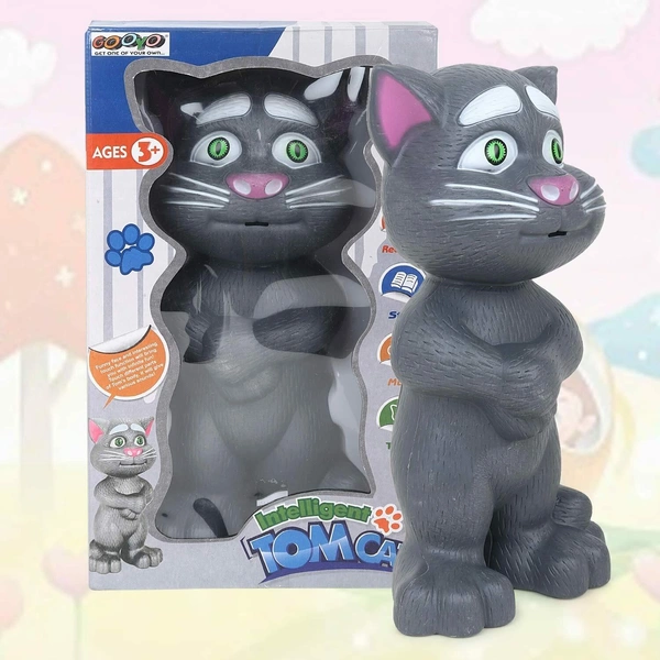 DDB18  Intelligent Touching Talking Tom Cat