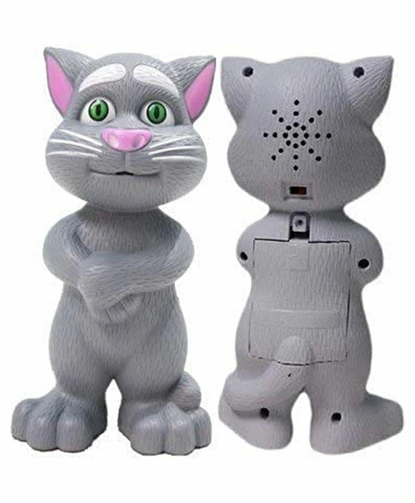 DDB18  Intelligent Touching Talking Tom Cat
