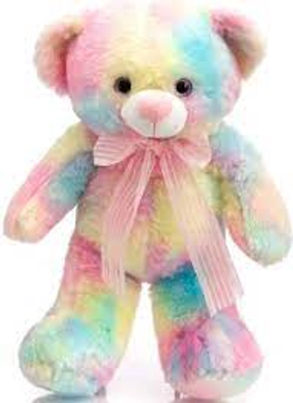 DDB26  Rainbow Teddy bear (55 cm)