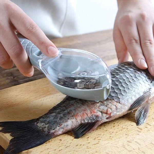 Fish Scrapper