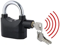 security alarm lock