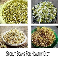 Sprout Maker  4 Layer
