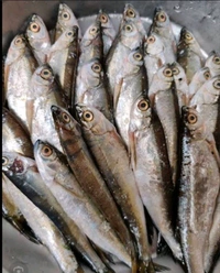 Chala Fish - 500gm
