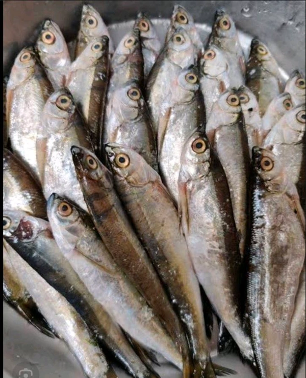 Chala Fish - 500gm