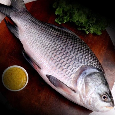 Fish