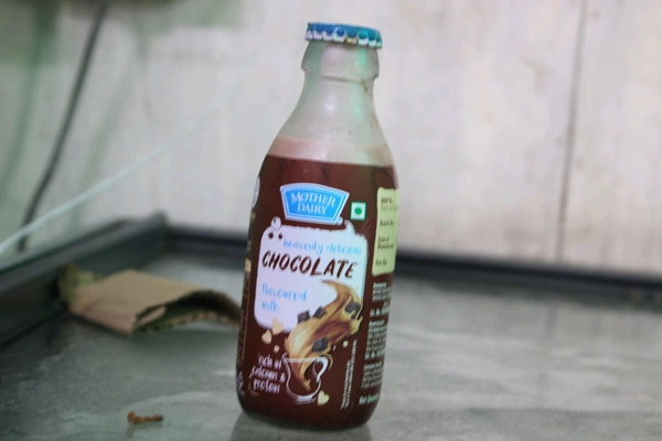 Chocolate Shake