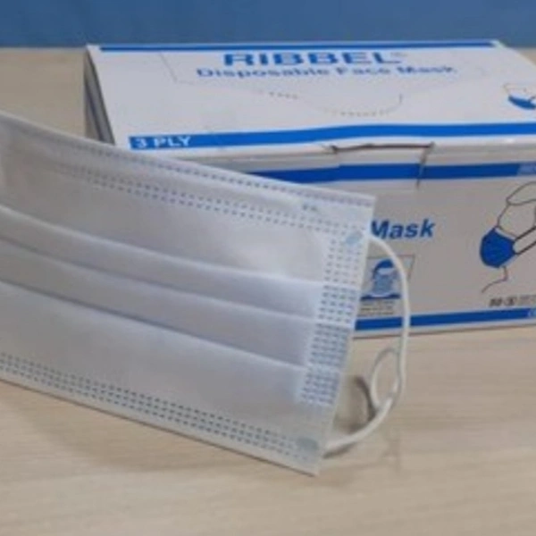 Disposable Mask With Nosepins - adult