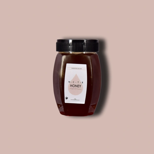 N.C.T.R Honey (From Kashmir) - 500g