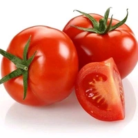 Tomato / Tamatar / टमाटर (1kg )
