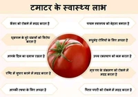 Tomato / Tamatar / टमाटर (1kg )