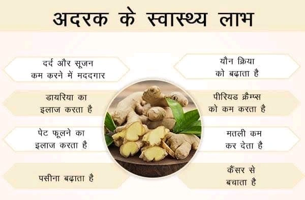 Ginger / Adrak / अदरक ( 1kg ) 