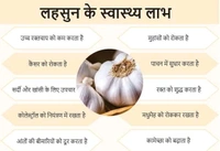 Garlic / Lehsun / लहसुन / ( 250gm )