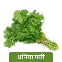 green coriander / Hara Dhaniya / हरा धनिया ( 1kg )
