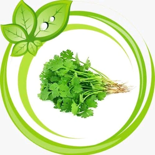 green coriander / Hara Dhaniya / हरा धनिया ( 250gm )