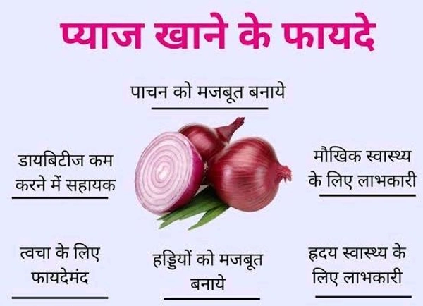 Red Onion / Lal Pyaj / लाल प्याज ( 1.5kg ) 